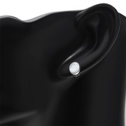 Large Mother of Pearl Oval Stud Silver Earrings, e313