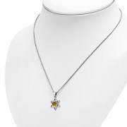 Baltic Amber Star of David Silver Pendant, p378