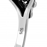 R501.jpg