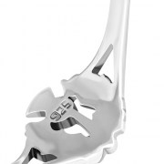 Scottish Thistle Silver Ring - rp883